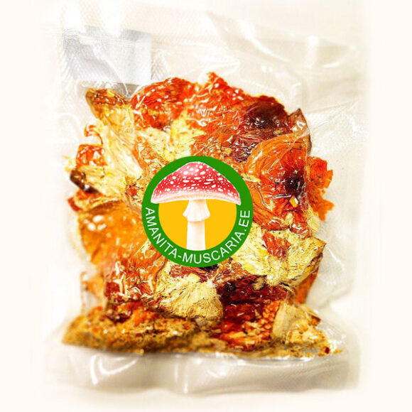 Punane kärbseseen (50 gr.)