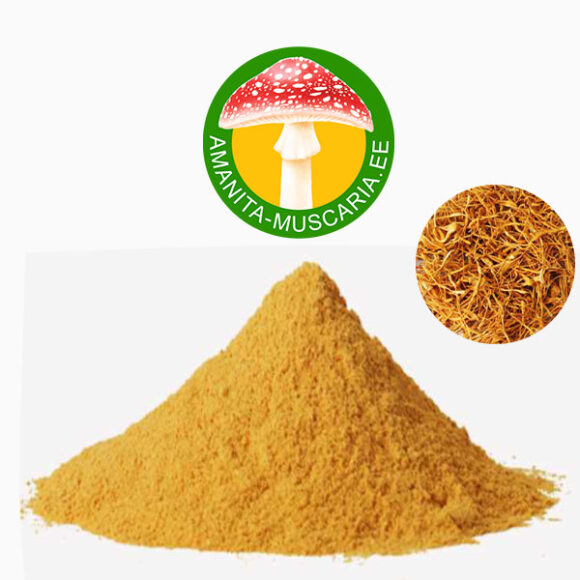 Кордицепс военный в порошке (Cordyceps militaris) - (100 гр.)