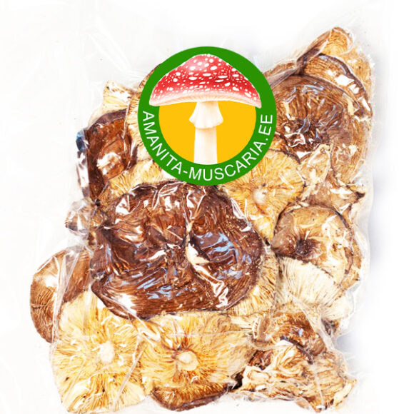 Kuninglik kärbseseen (30 gr.)